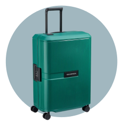 حقائب ديلسي