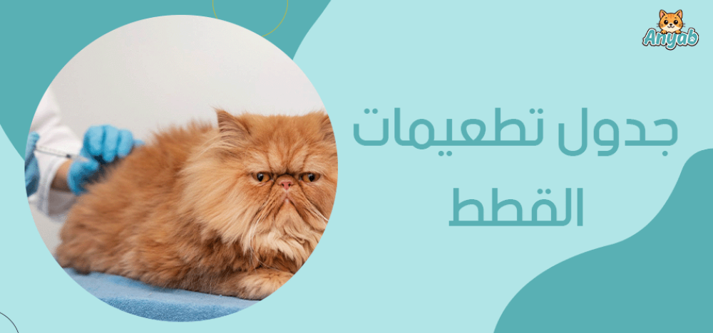 جدول تطعيمات القطط