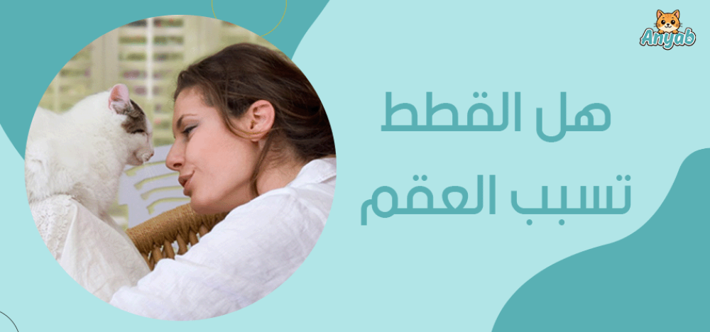 هل القطط تسبب العقم