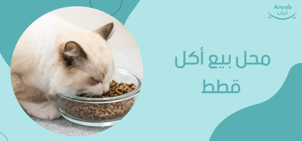 محل بيع اكل قطط