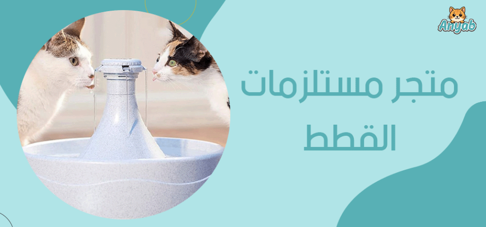 مميزات افضل متجر مستلزمات القطط​ وابرز منتجاته