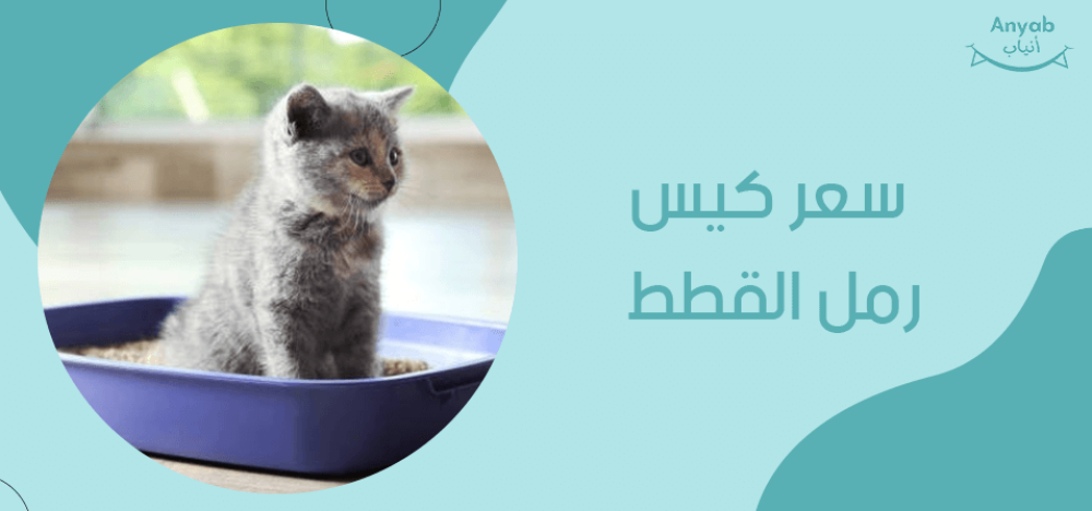 سعر كيس رمل القطط