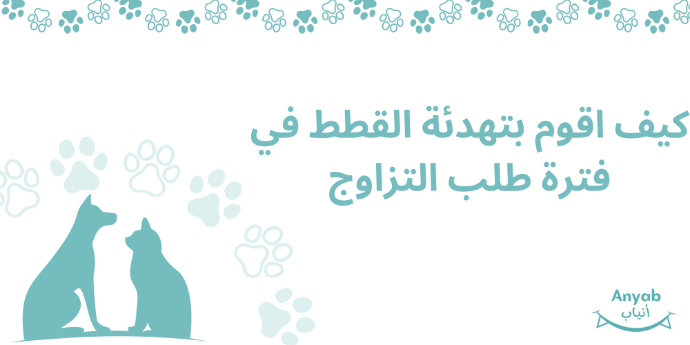 تعرف علي افضل مقالة عن تهدئة القطط من متجرنا انياب