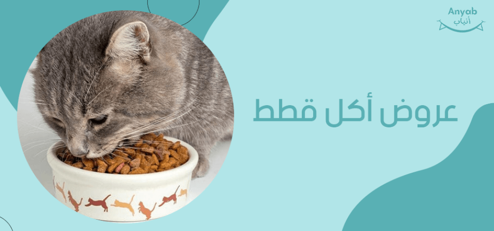 عروض اكل قطط