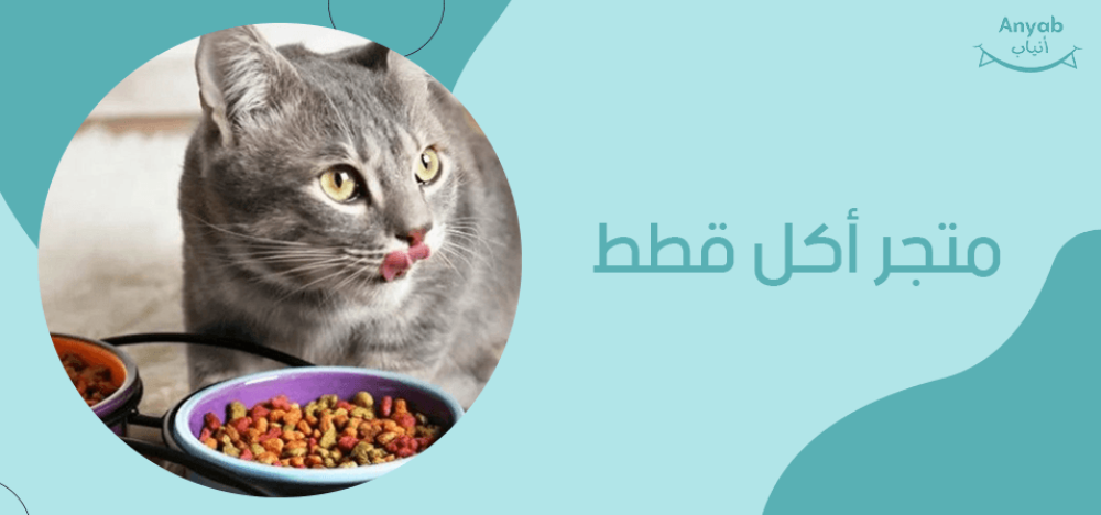 متجر اكل قطط