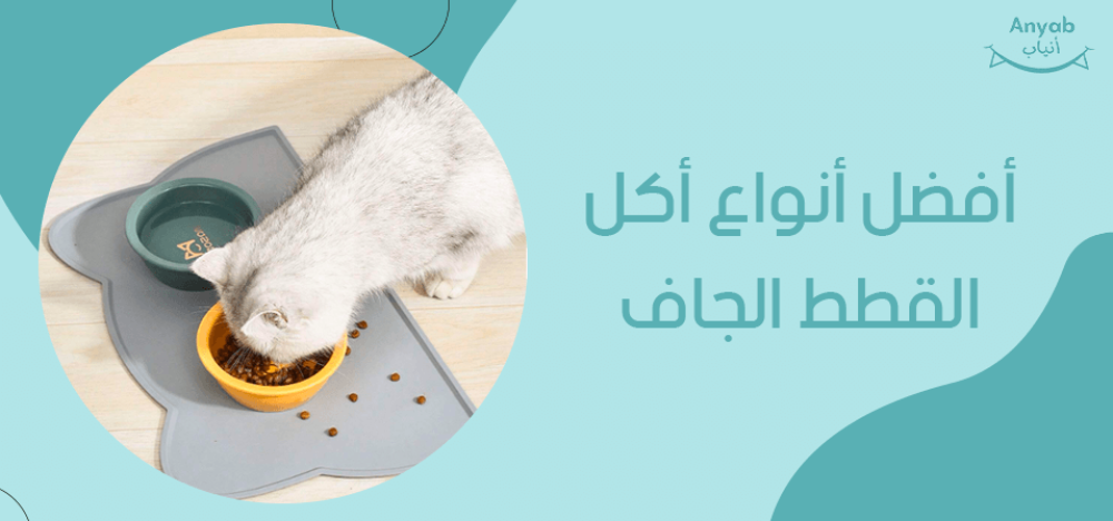 افضل انواع اكل القطط الجاف