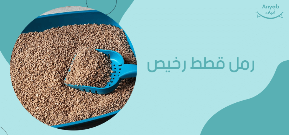 رمل قطط رخيص