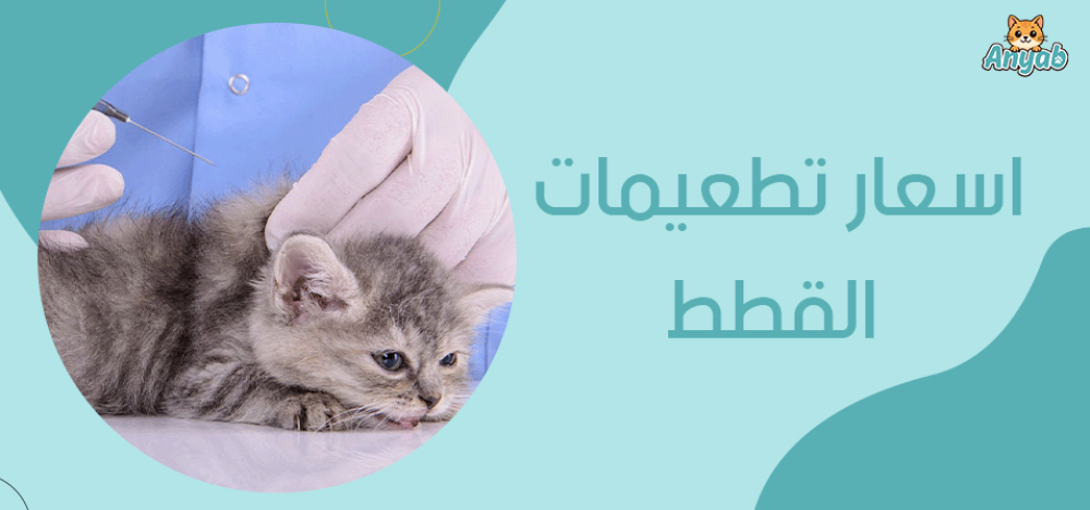 اسعار تطعيمات القطط