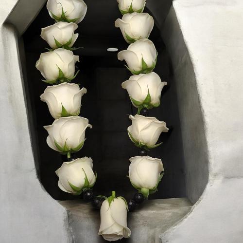 عقد ورد جوري ولولو