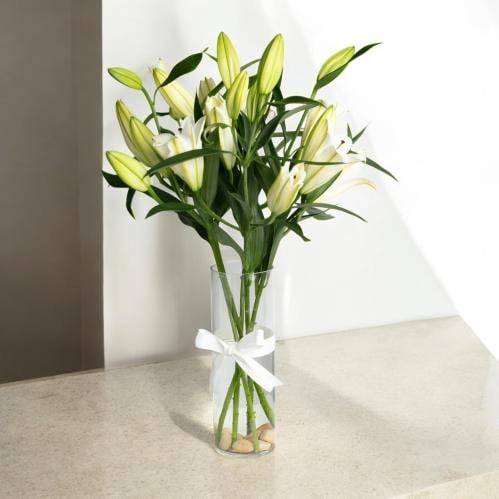 فازة كازبلانكا