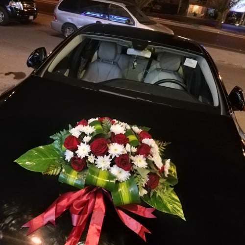 تشريع سيارة - للحجز WhatsApp