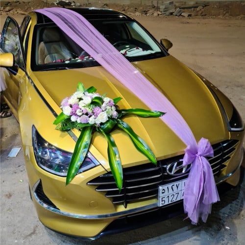 تشريع سيارة - للحجز WhatsApp