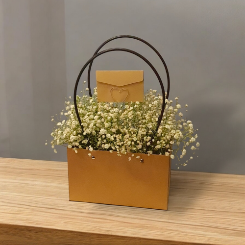 كيس جبسوفيليا .