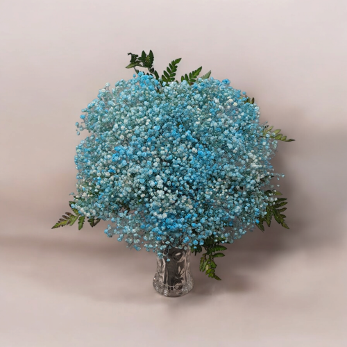 باقة فازة جبسوفيليا