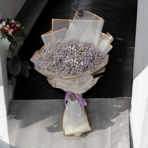 باقة الجبسوفيليا الزاهية .