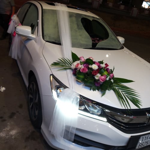 تشريع سيارة - للحجز WhatsApp