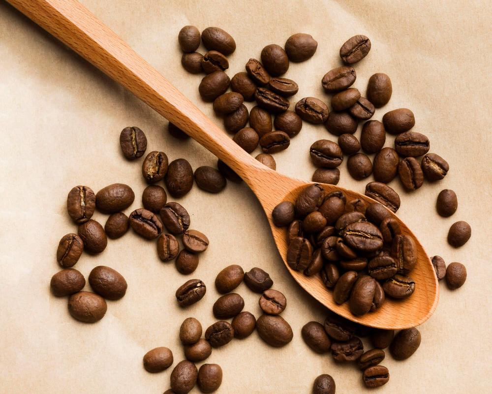 أنواع حبوب القهوة وأفضل الخيارات لكل طريقة تحضير