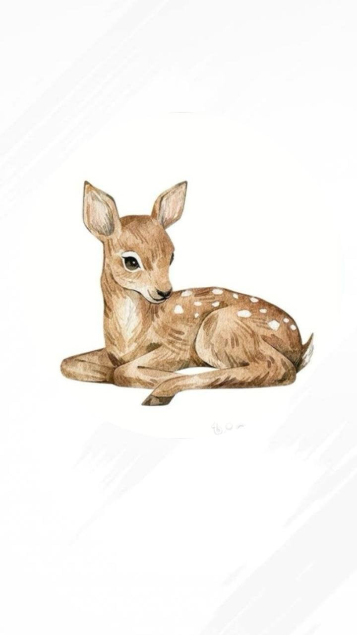 store avatar