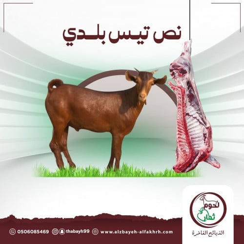 نص تيس بلدي