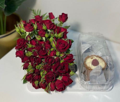 تنسيق تشيز كيك دوت