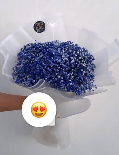 باقه ورد جبسوفيليا