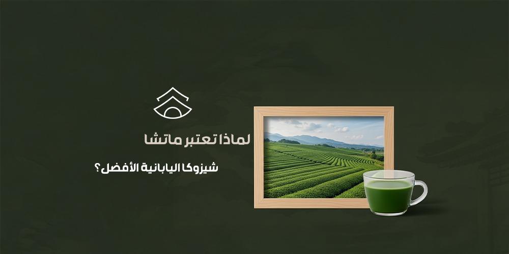لماذا تعتبر ماتشا شيزوكا اليابانية الأفضل