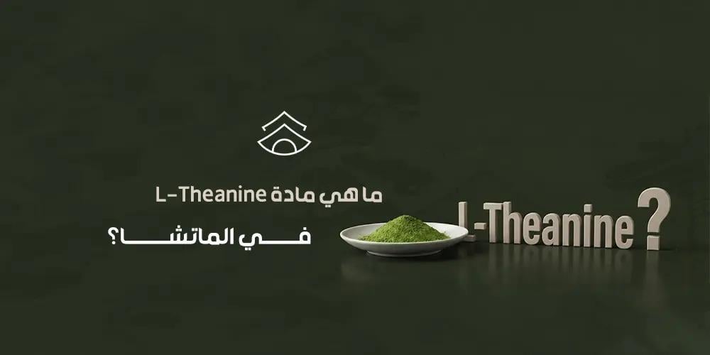 ما هي مادة L-Theanine في الماتشا؟
