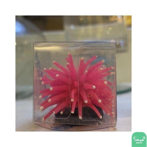 زينة حوض سمك