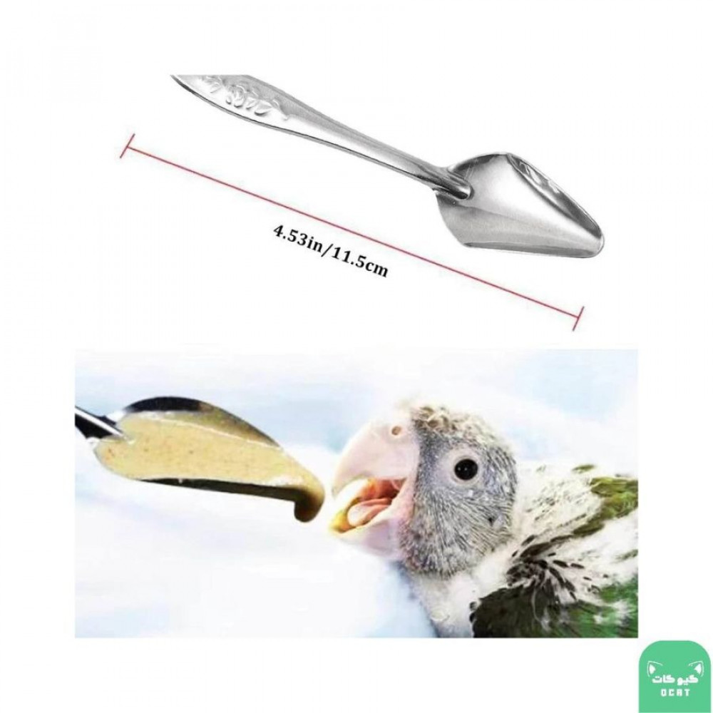 ملعقة غر الطيور