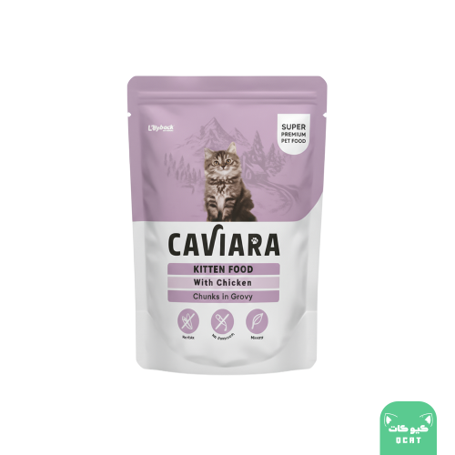كافيارا اظرف ويت فود بالدجاج للقطط الصغيرة 100 جرام