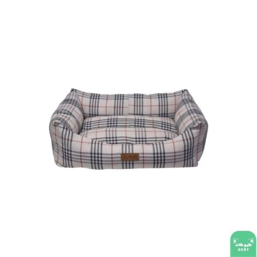 كانن قو سرير دانش كبير بني