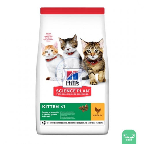 هيلز للقطط الصغيرة بنكهة الدجاج