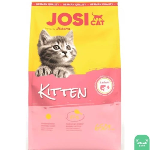جوسي كات للقطط الصغيرة