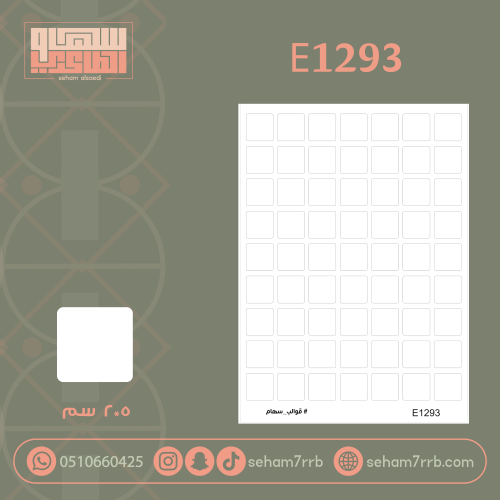 E1293