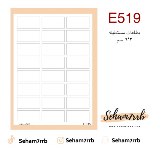 E519