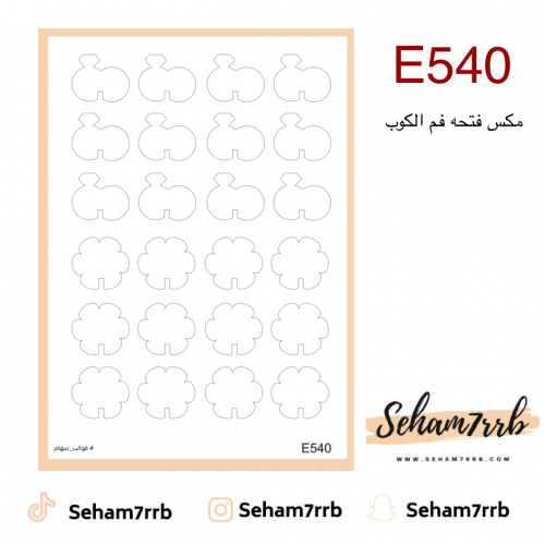 E540