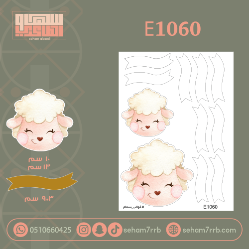 E1060