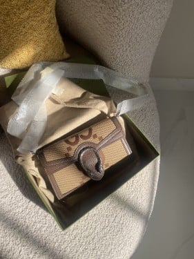 Super Mini Gucci