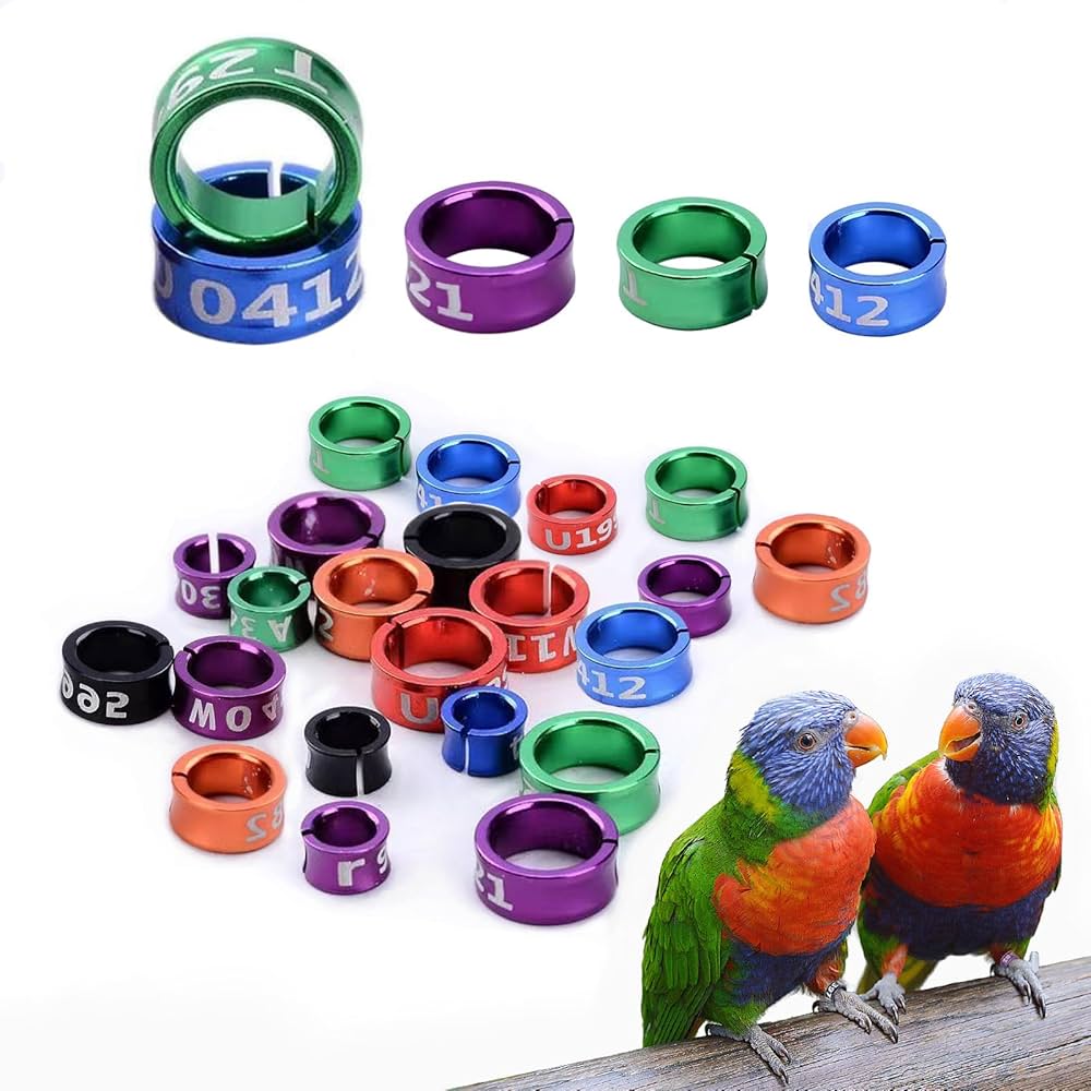 Birds Ring