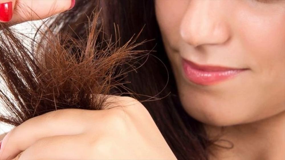 منتجات طبيعية للشعر المتقصف