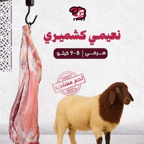 نعيمي كشميري هرفي 8-9 كيلو