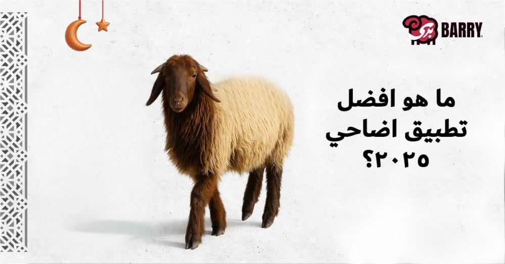 ما هو افضل تطبيق اضاحي؟