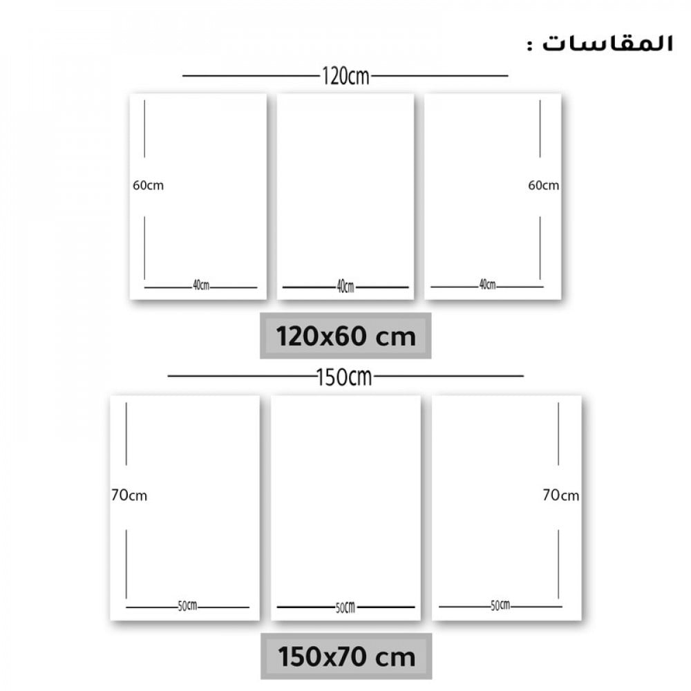 ثلاث لوحات جدارية مع برواز واكريلك شفاف