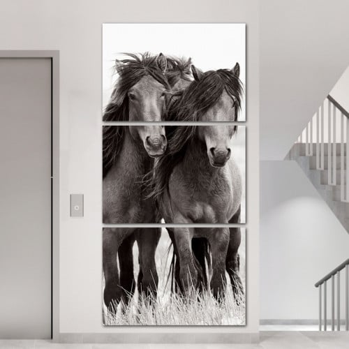 ثلاث لوحات قماشية بتصميم حصان