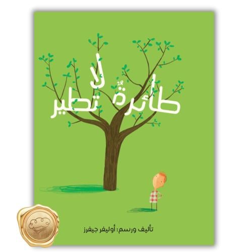 طائرة لا تطير