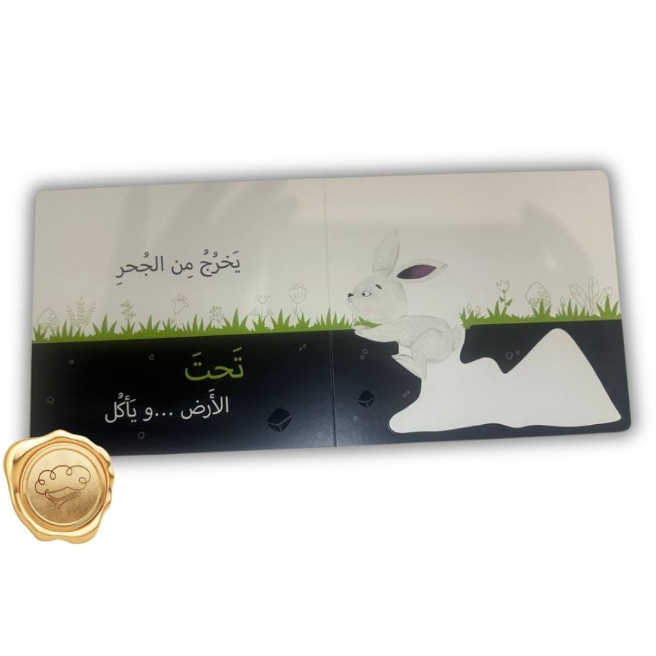 الرؤية, اللمس, الإحساس ( هوتوت يقفز)