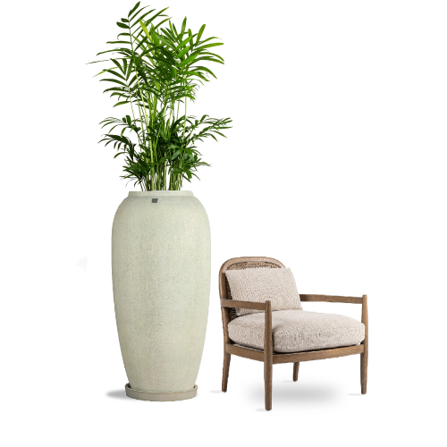 6419 مركن بولي طولى أبيض مع صحن