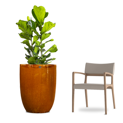 مركن سيراميك بنى  غامق5737