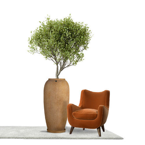 6420 مركن بولي طولى بني مع صحن