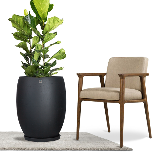 مراكن زرع داخلية